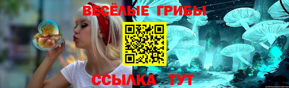 Старая Купавна  как найти закладки  Галлюциногенные грибы Psilocybe  Вход с VPN  Псилоцибиновые грибы Cubensis 